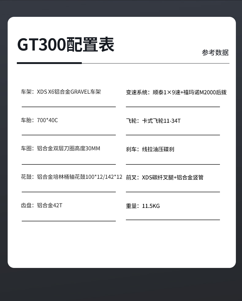 GT300.jpg